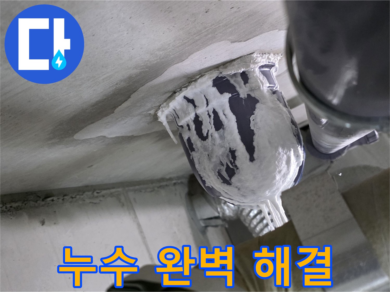 분당 운중동 산운마을 - 누수 부위를 꼼꼼하게 보수하여 재발 방지 완료