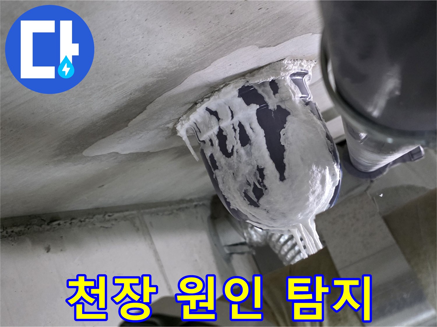분당 운중동 산운마을 누수 - 정확한 천장 누수 원인 탐색으로 문제 해결 완료
