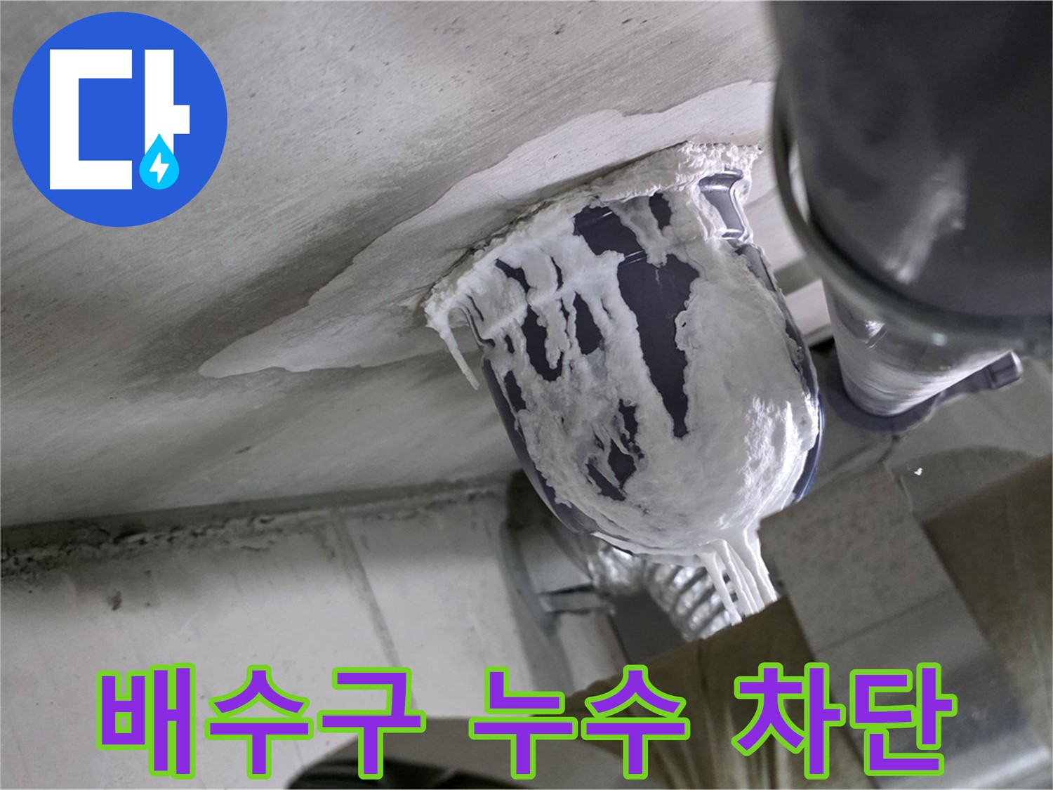 분당 운중동 산운마을 - 배수구 주변 누수, 완벽하게 차단 완료