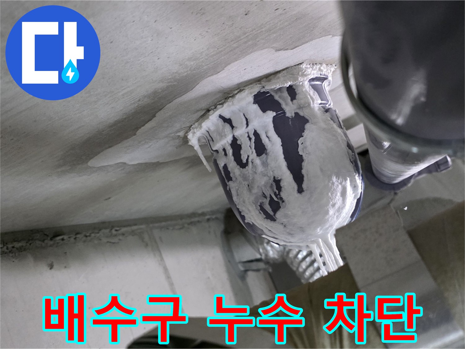 분당 운중동 산운마을 - 배수구 주변 누수, 완벽하게 차단했습니다