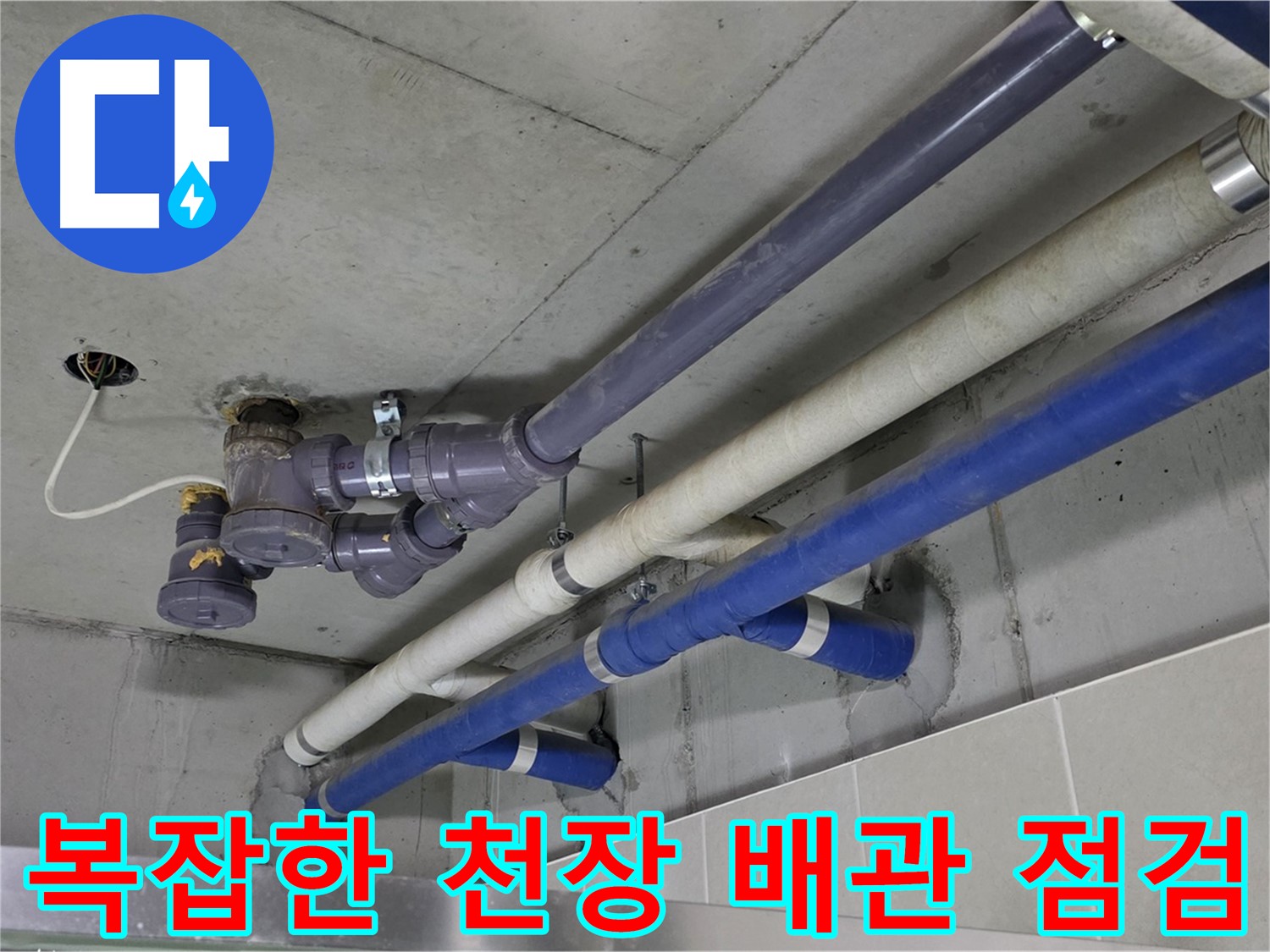분당 운중동 상가 복잡한 천장 배관 점검 - 꼼꼼한 확인과 완벽한 해결