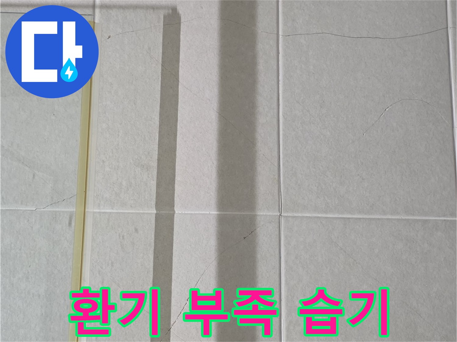 분당 운중동 샤워부스 - 벽면 타일 틈새 누수, 샤워 후 환기 부족으로 인한 습기 누적