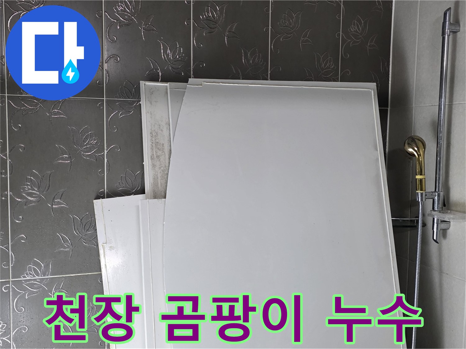 분당 운중동 욕실 천장 - 곰팡이와 누수의 전쟁 - 근본적인 원인 해결