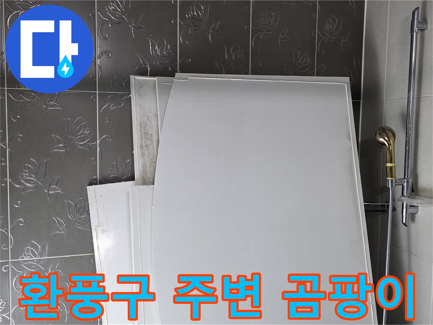 분당 운중동 욕실 - 환풍구 주변 곰팡이, 누수가 원인일 수 있어요 - 꼼꼼한 점검