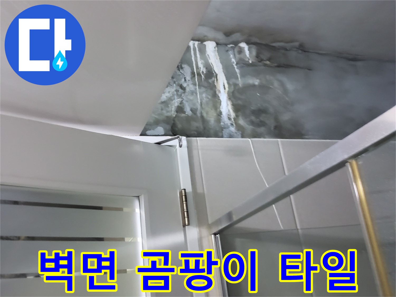 분당구 운중동 샤워부스 벽면 심한 곰팡이 핀 흔적 및 타일 틈새 오염 심층 확인 - 전문적 진단