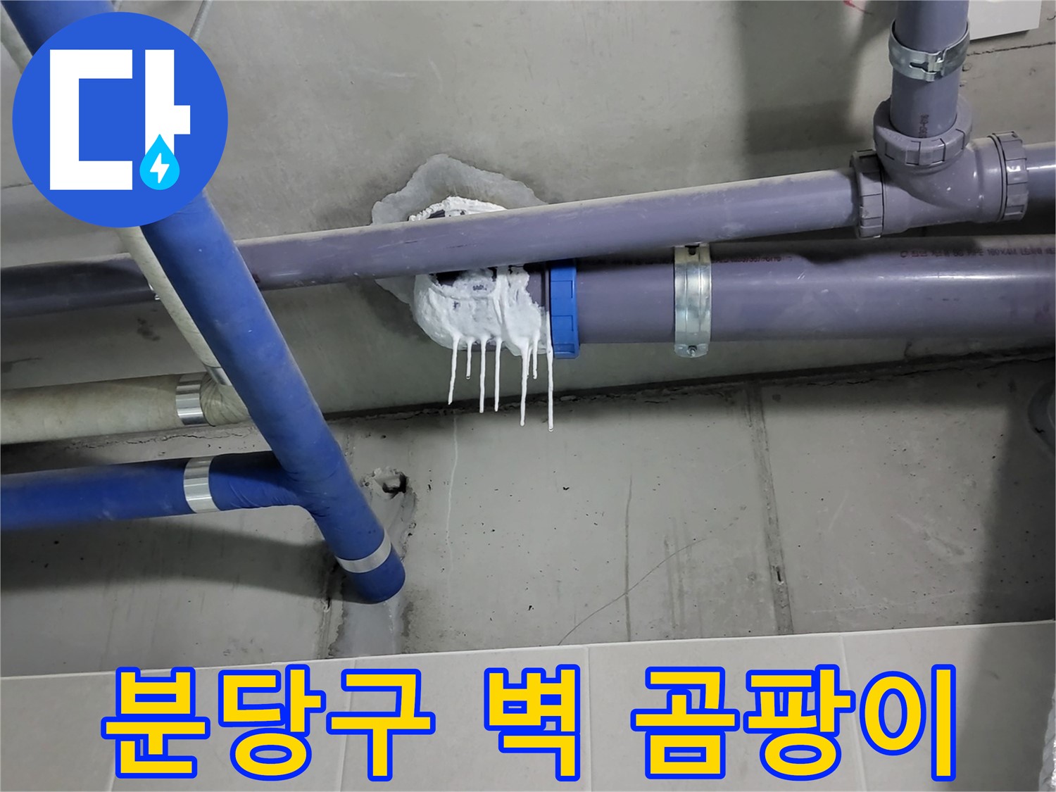 분당구 하수 누수 - 벽 습기로 인한 벽지 곰팡이