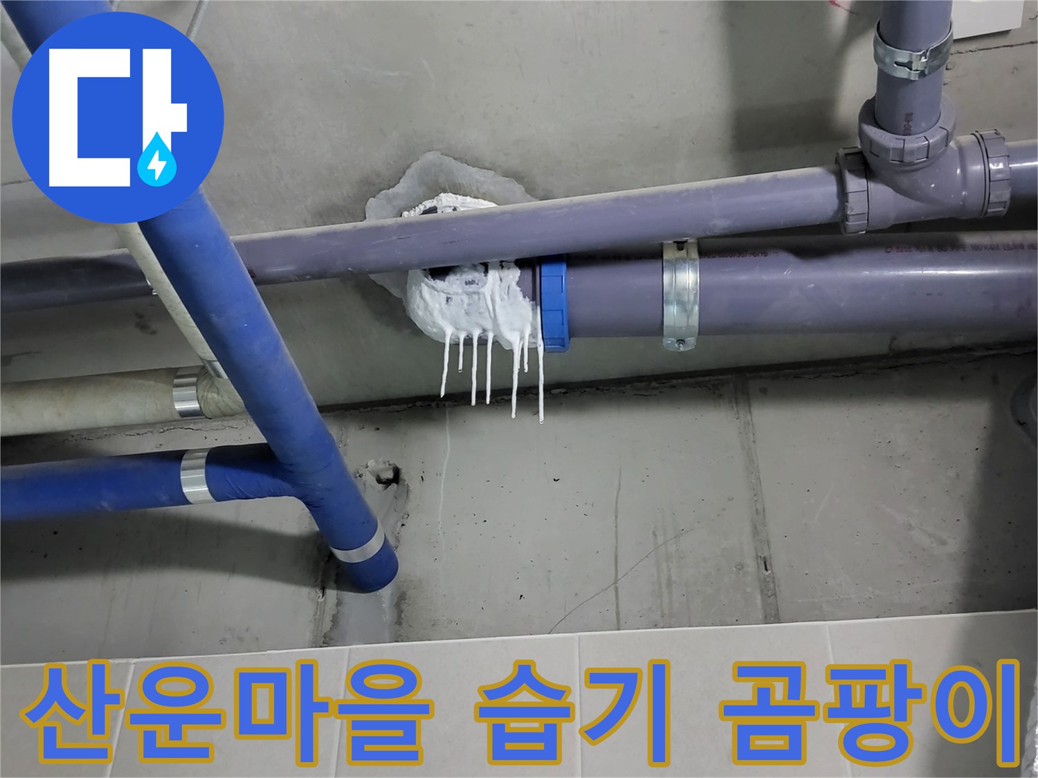 산운마을 하수 누수 - 배관 연결 부위 주변 습기와 곰팡이