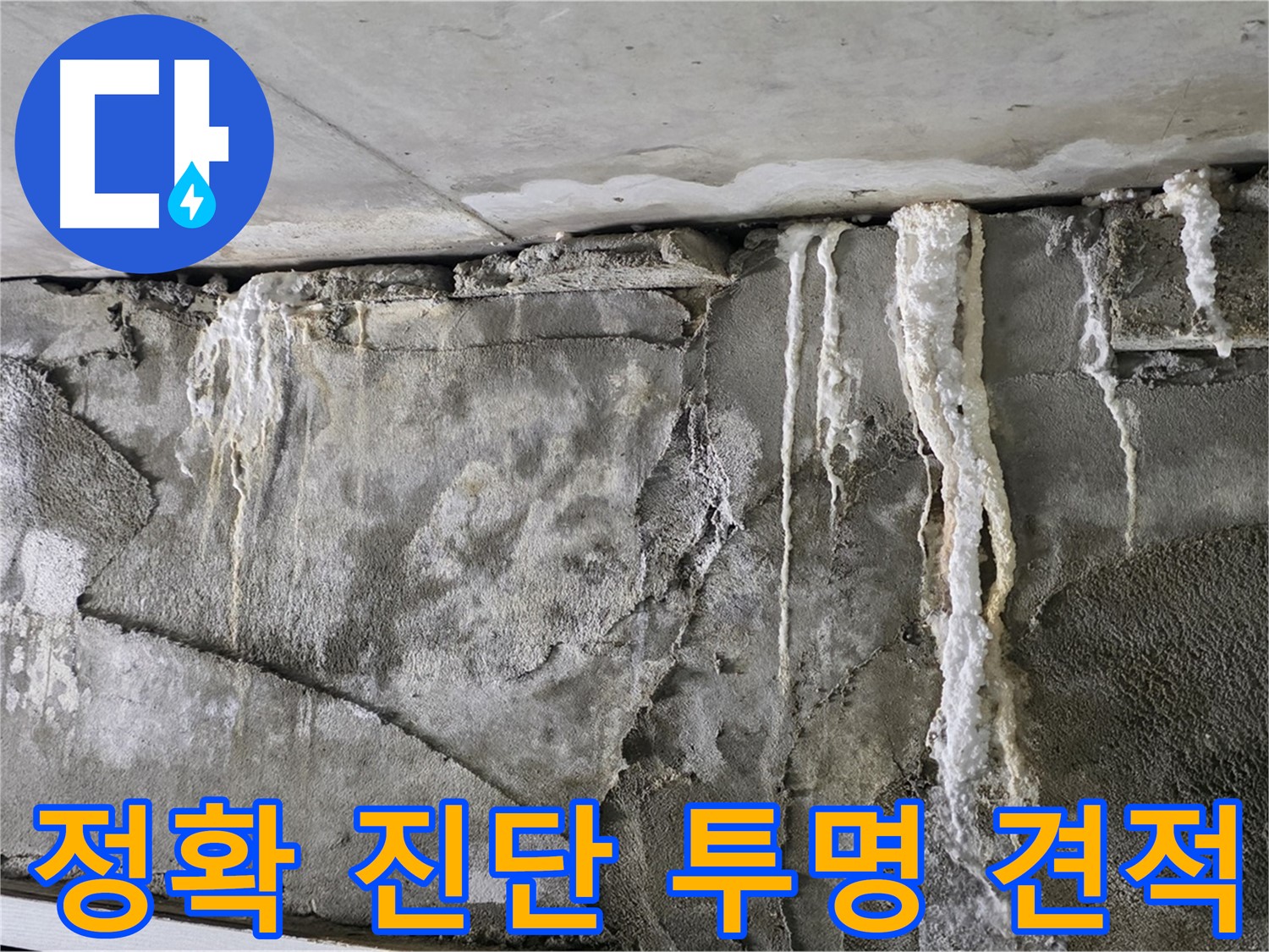 성남 누수 탐지 - 정확한 진단과 투명한 견적, 고객 만족도 최상