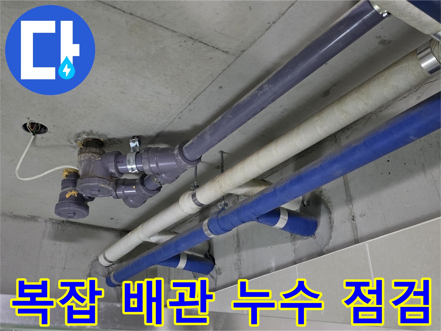 성남 분당 6단지 상가 복잡 배관 누수 점검 - 꼼꼼한 확인과 완벽한 해결