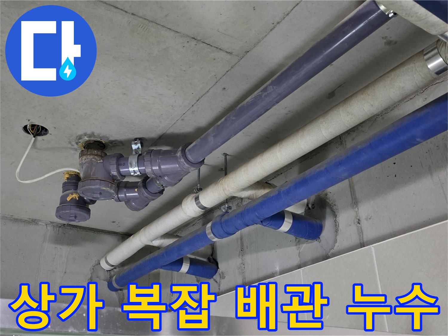 성남 분당 상가 복잡 배관 누수 - 꼼꼼한 점검과 확실한 해결