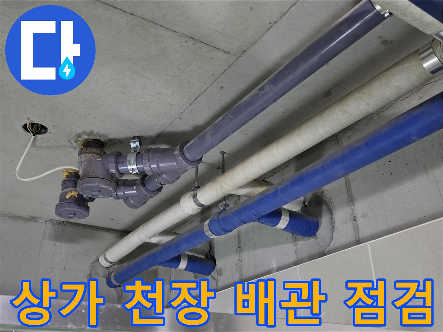 성남 분당 상가 천장 배관 점검 - 꼼꼼한 진단과 완벽한 해결
