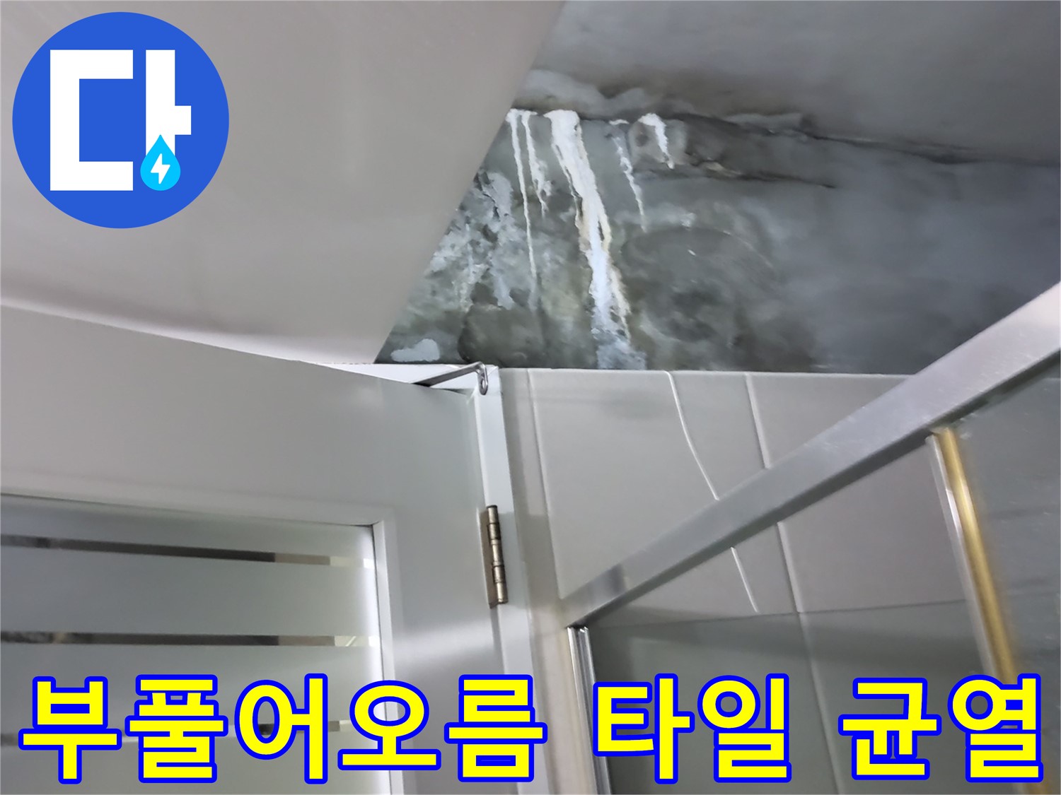 성남 분당 샤워부스 옆 벽면 부풀어오름 및 타일 심한 균열 확인 정밀 점검 - 누수 가능성 점검