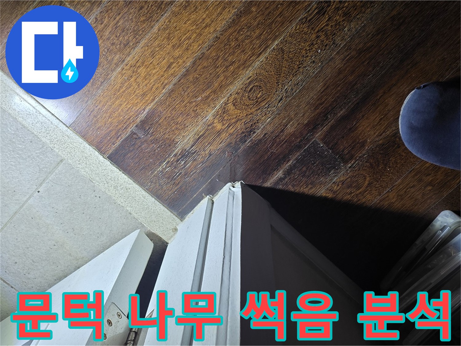 성남 분당 아파트 누수 - 운중동 산운마을 문턱 아래 나무 썩음 원인 분석