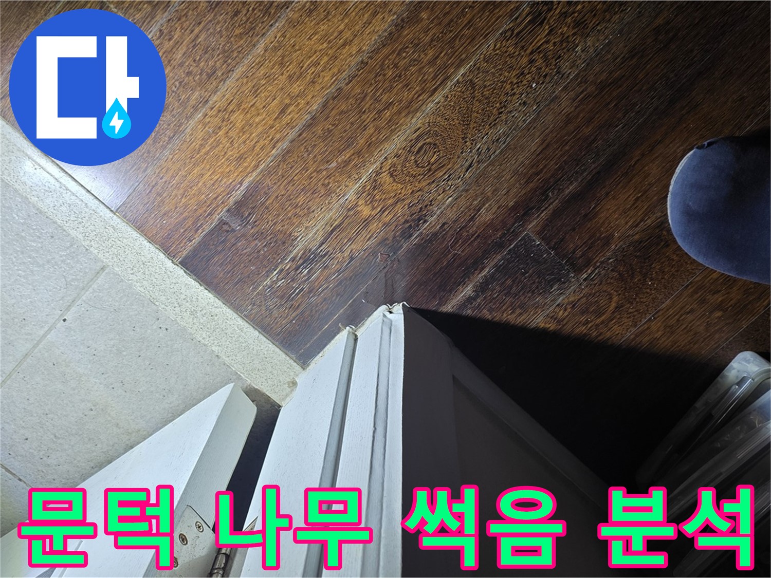 성남 분당 아파트 누수 - 운중동 산운마을 문턱 아래 나무 썩음 원인 분석