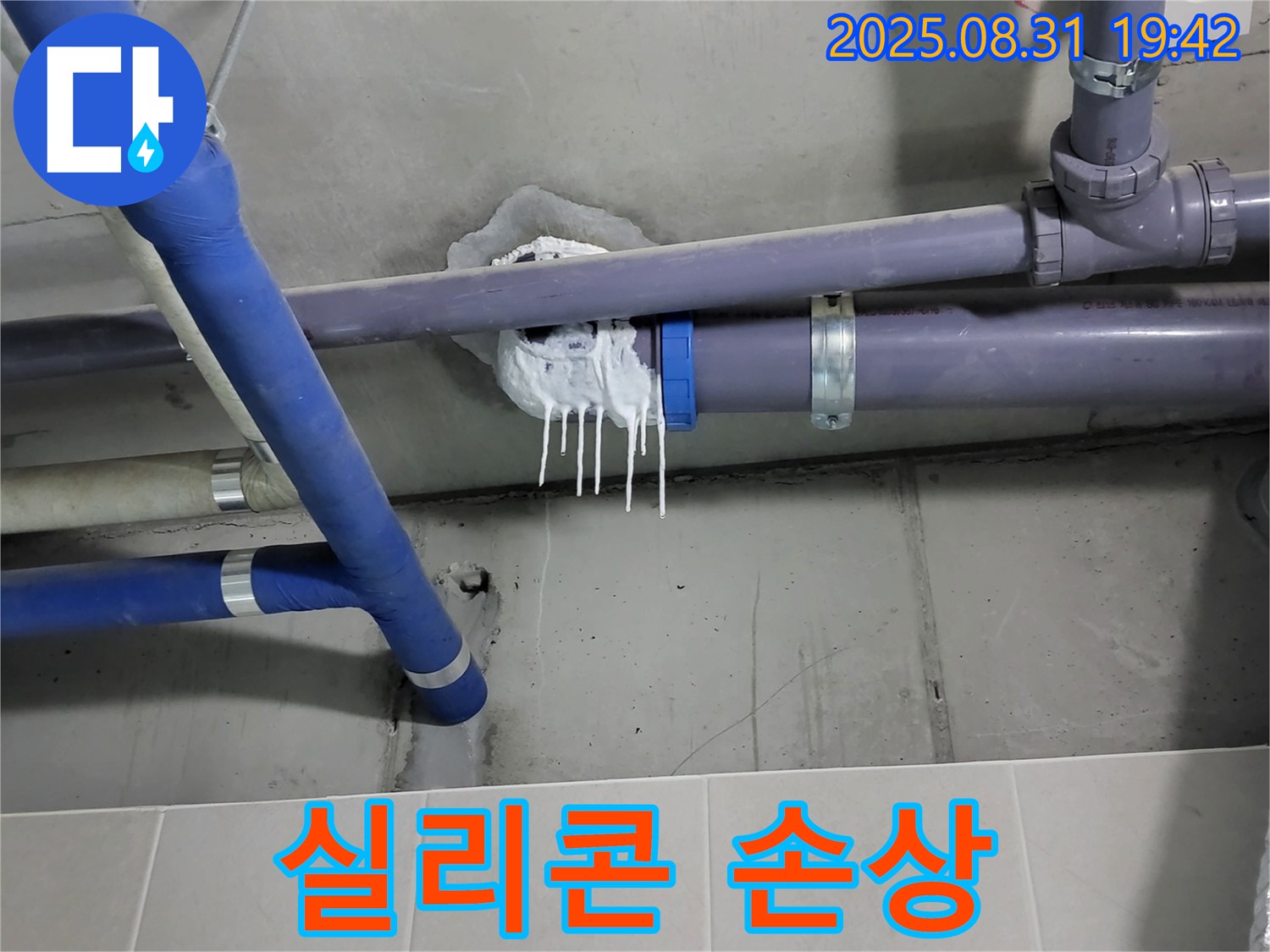 성남 분당 운중동 산운로 주택 욕실 누수 - 핀 시공 후 실리콘 틈새 및 오염 동시 발생 확인