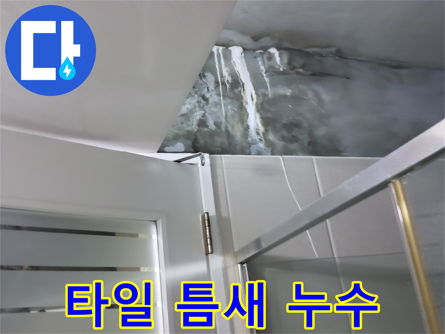 성남 분당 운중동 샤워부스 주변 타일 틈새 누수 발생 - 전문적인 누수 해결 과정