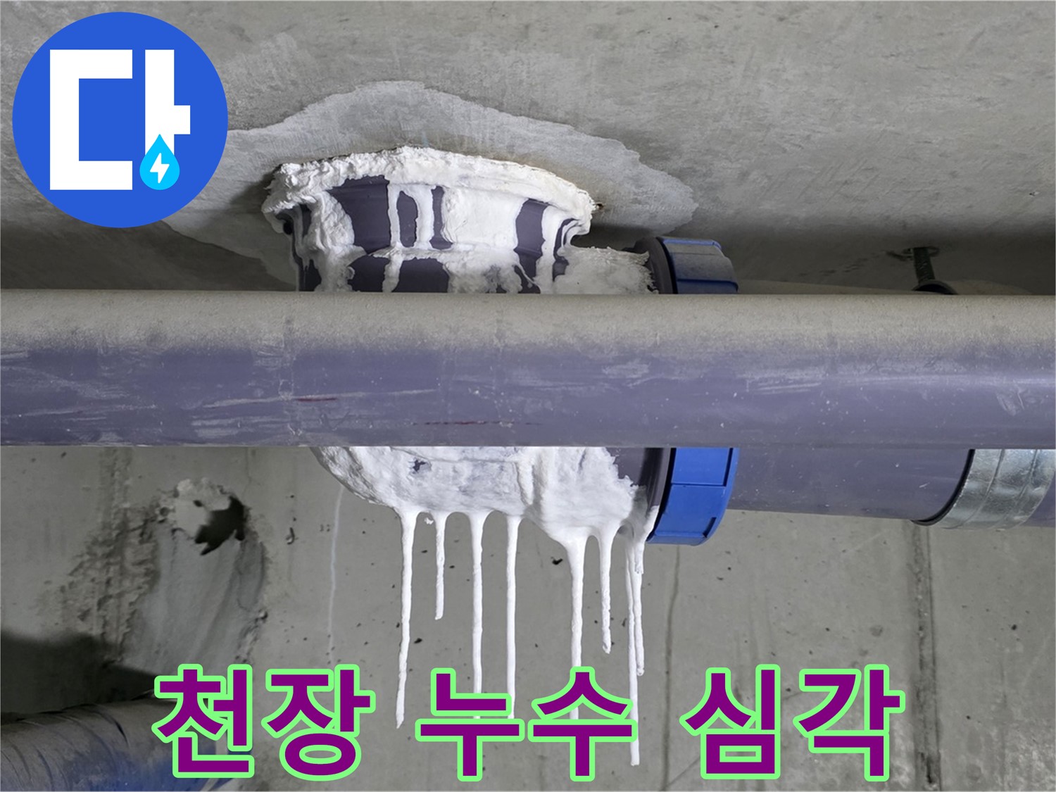 심각한 천장 누수 - 천장에서 물이 뚝뚝 떨어지는 모습은 긴급한 상황임을 보여줍니다.
