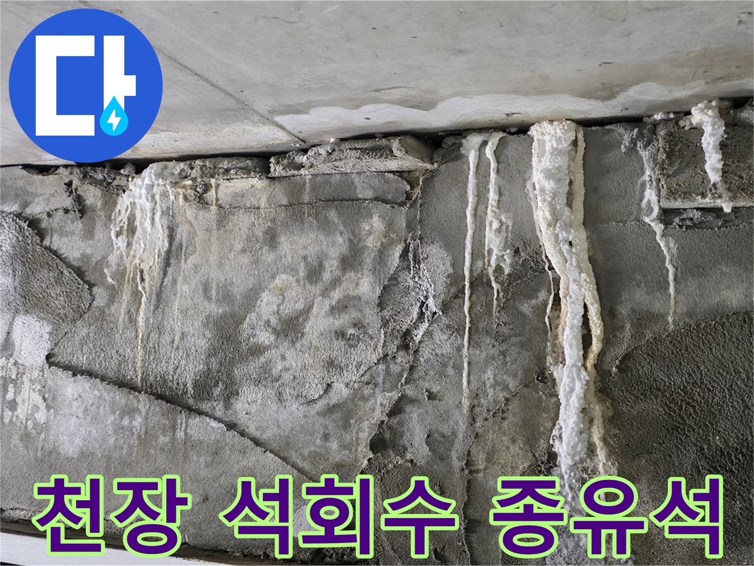 운중동 누수 - 천장 석회수 종유석, 붕괴 카운트다운