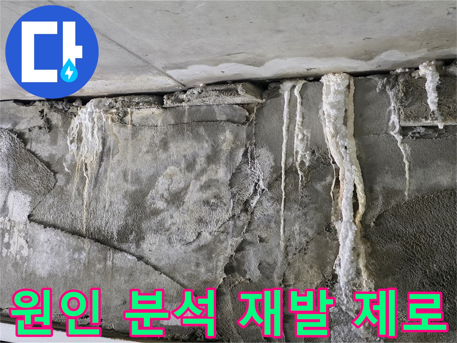 운중동 누수 해결 - 누수 원인 완전 봉쇄, 재발 제로