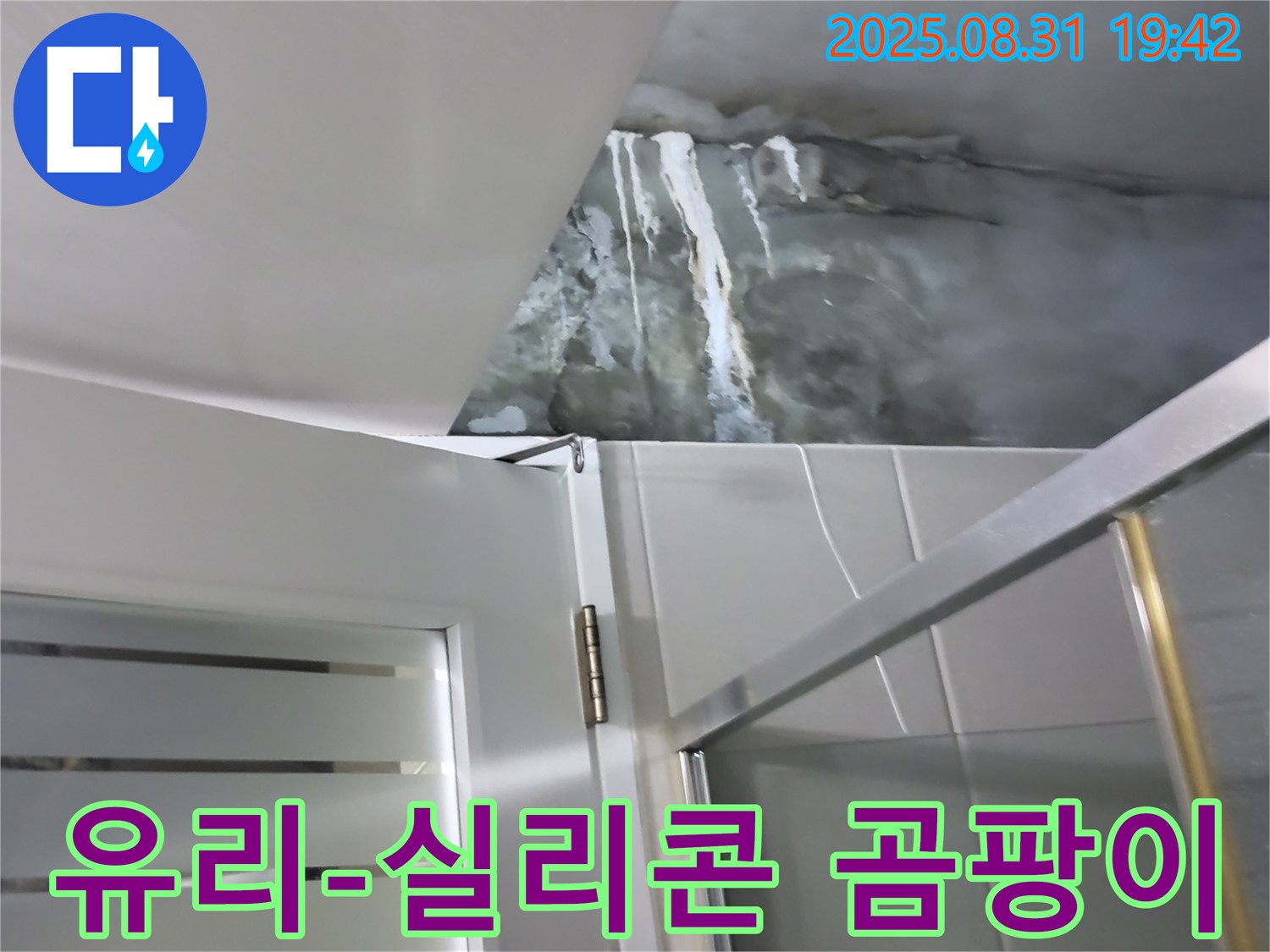 운중동 산운마을 - 샤워부스 유리와 실리콘 사이 곰팡이 - 곰팡이 제거 및 실리콘 재시공으로 깨끗하게!