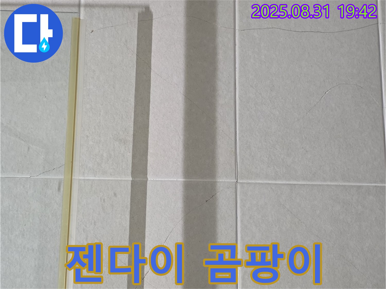 젠다이 - 곰팡이와 함께 찾아온 불청객!