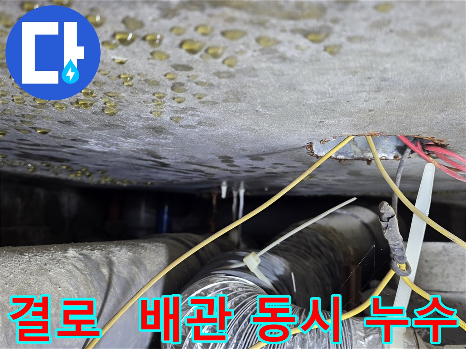 광진구 능동 빌라 누수 - 천장 결로와 배관 누수 동시 발생