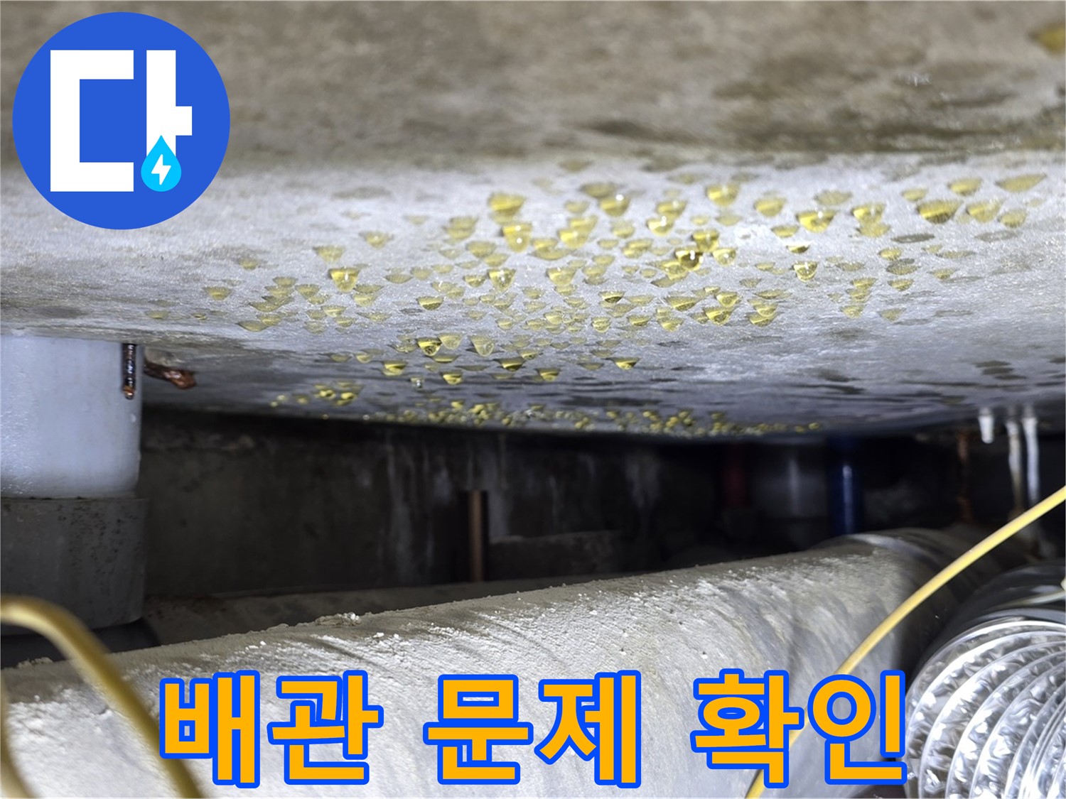 광진구 능동 빌라 천장 누수 - 배관 상태 점검 및 문제 확인