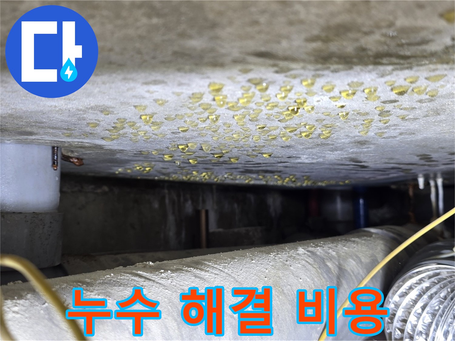광진구 능동 빌라 천장 누수 - 합리적인 누수 해결 비용을 제시합니다.