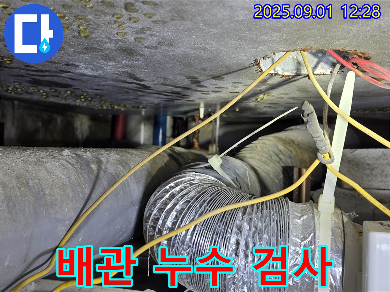 광진구 능동 아성빌라트 누수 - 천장 내부 배관 누수 정밀 검사 과정