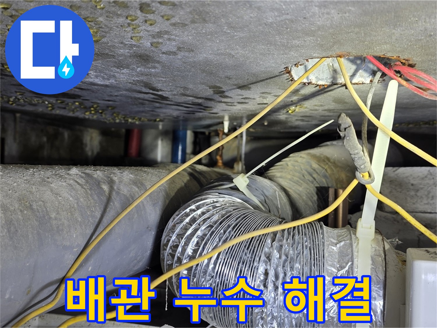 광진구 능동 천장 배관 누수 해결 - 누수 원인 진단부터 보수까지 완벽 시공