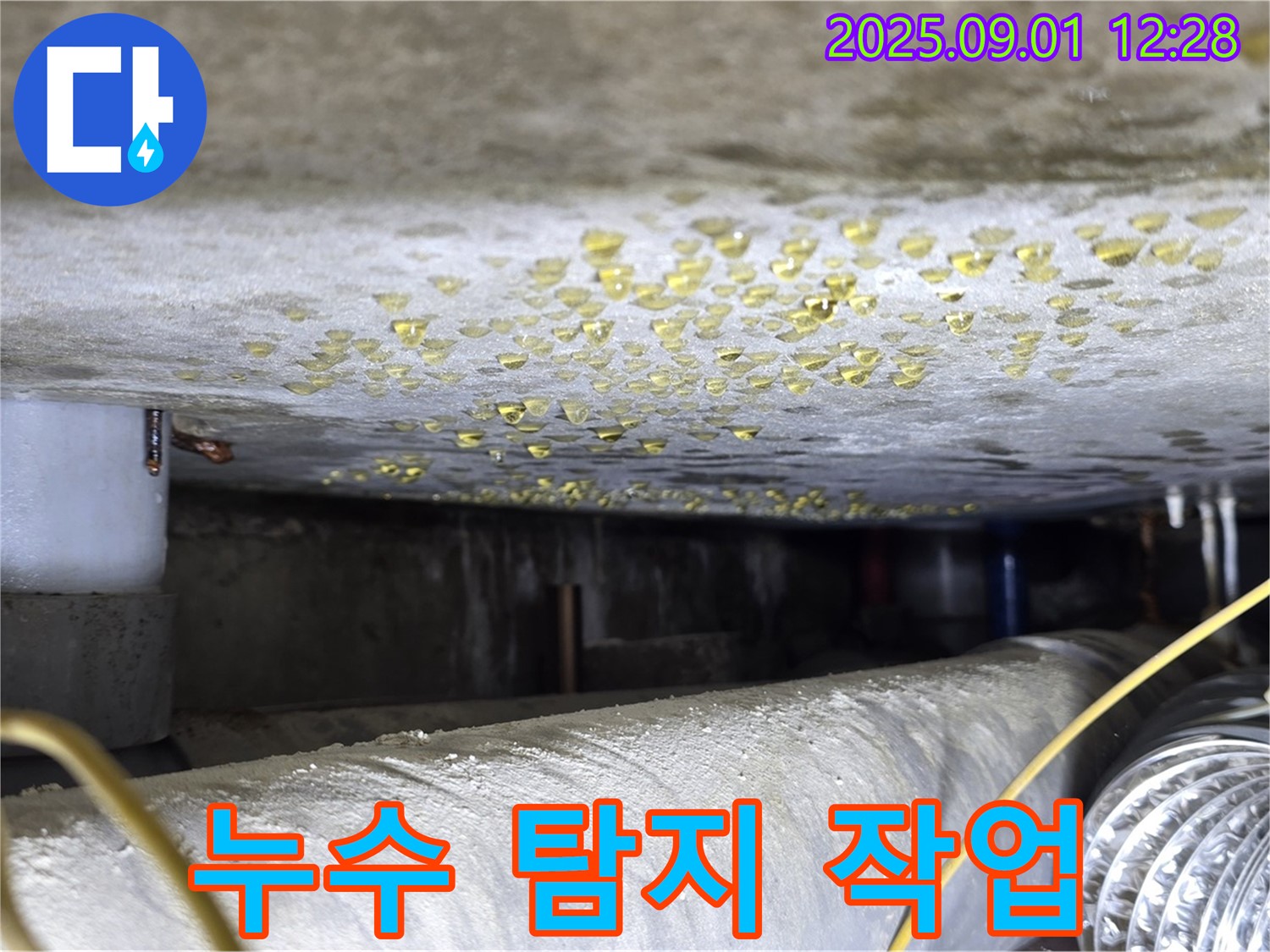 능동 아성빌라트 누수 탐지 작업 - 신속하고 정확한 해결