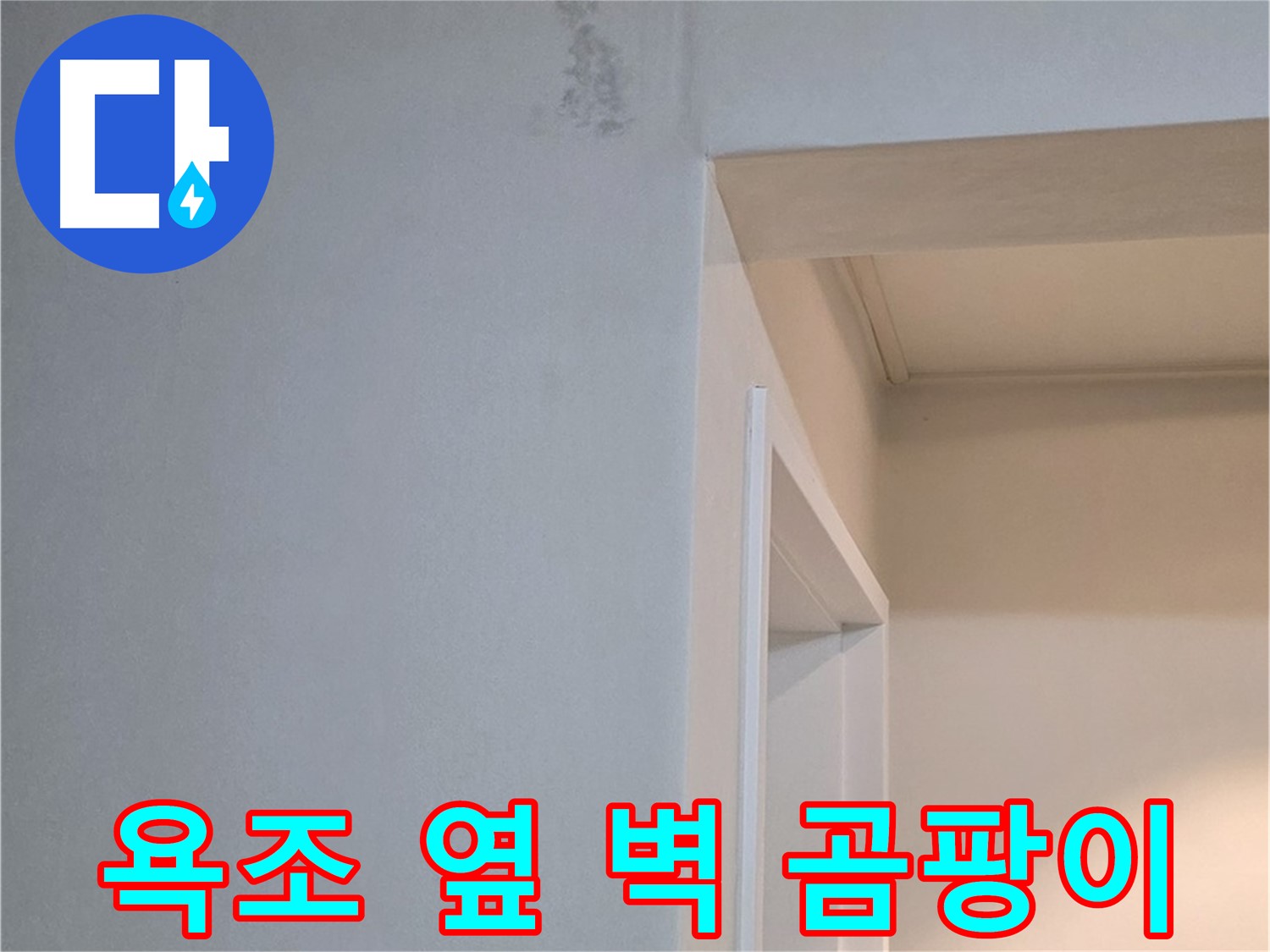욕조 옆 벽의 곰팡이 - 곰팡이는 건강에 해로울 수 있으므로 주의해야 합니다.