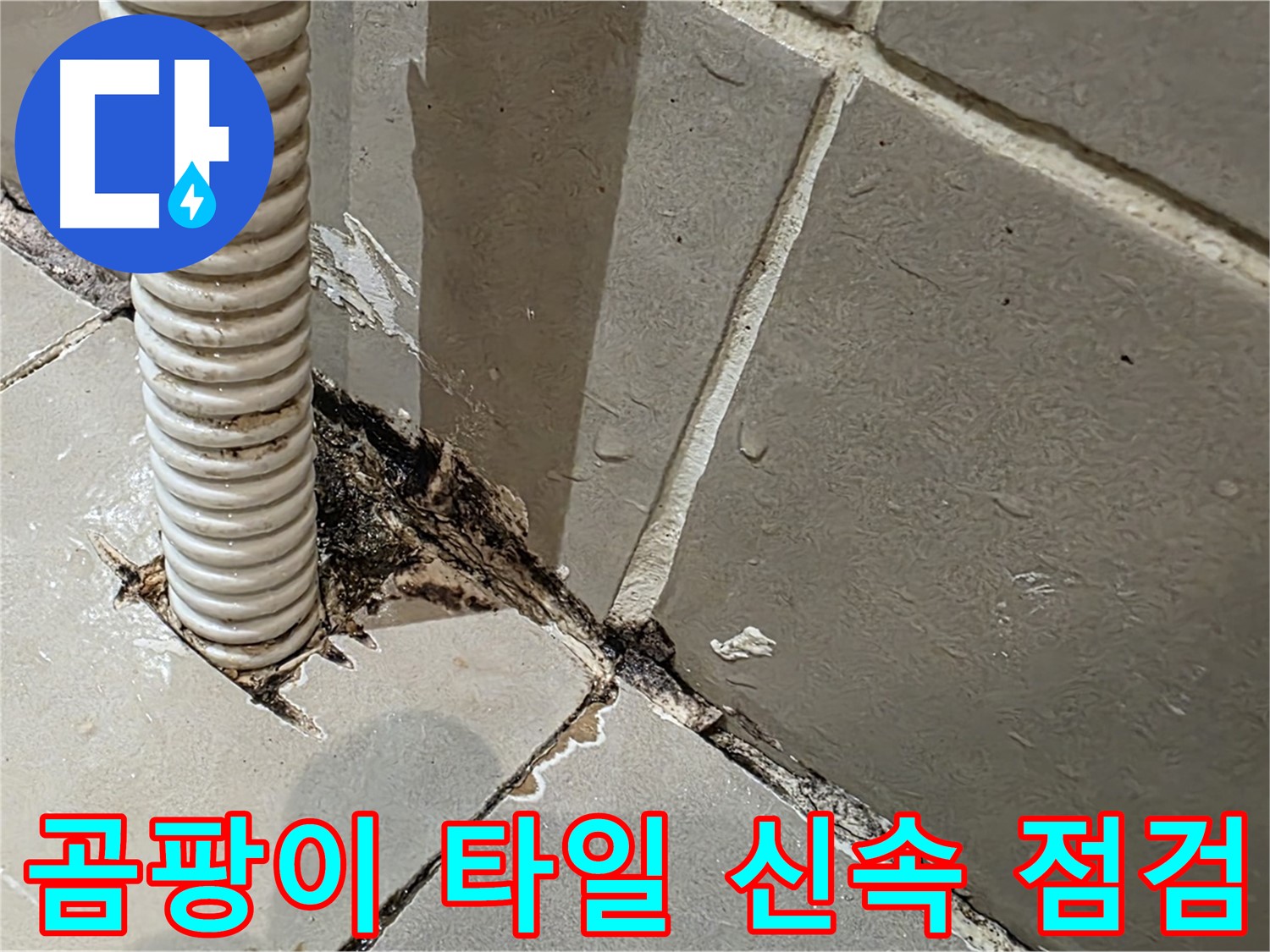 한강로2가 상가 누수 - 배관 주변 곰팡이와 타일 손상, 신속한 점검 필요