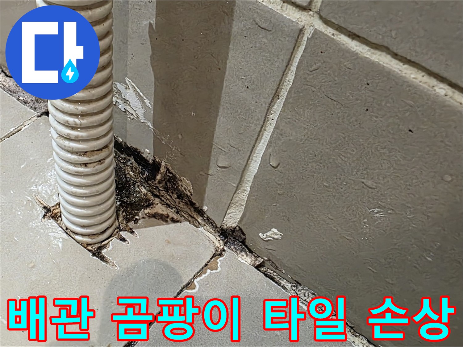 한강로2가 상가 누수 - 배관 주변 곰팡이와 타일 손상 확인