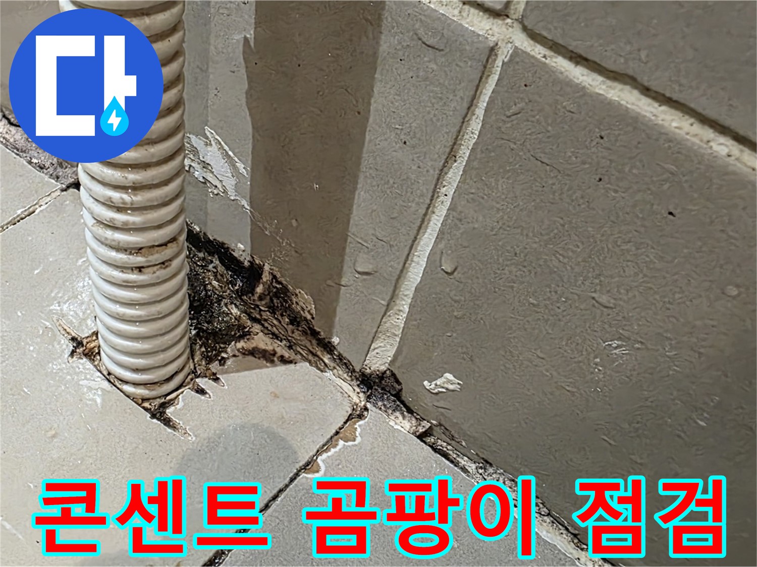한강로2가 상가 누수 - 콘센트 배관 주변 곰팡이, 신속한 점검 필요