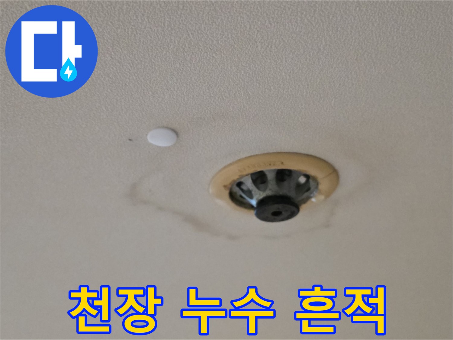 천장 누수 흔적 - 장안동 르.메이에르 장안타운 누수 발생 지점