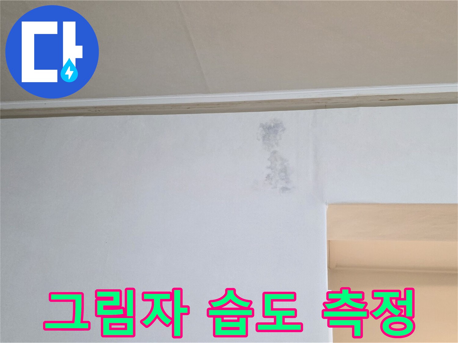 곰팡이 그림자 습도 측정 - 누수 & 습기 원인 정밀 분석