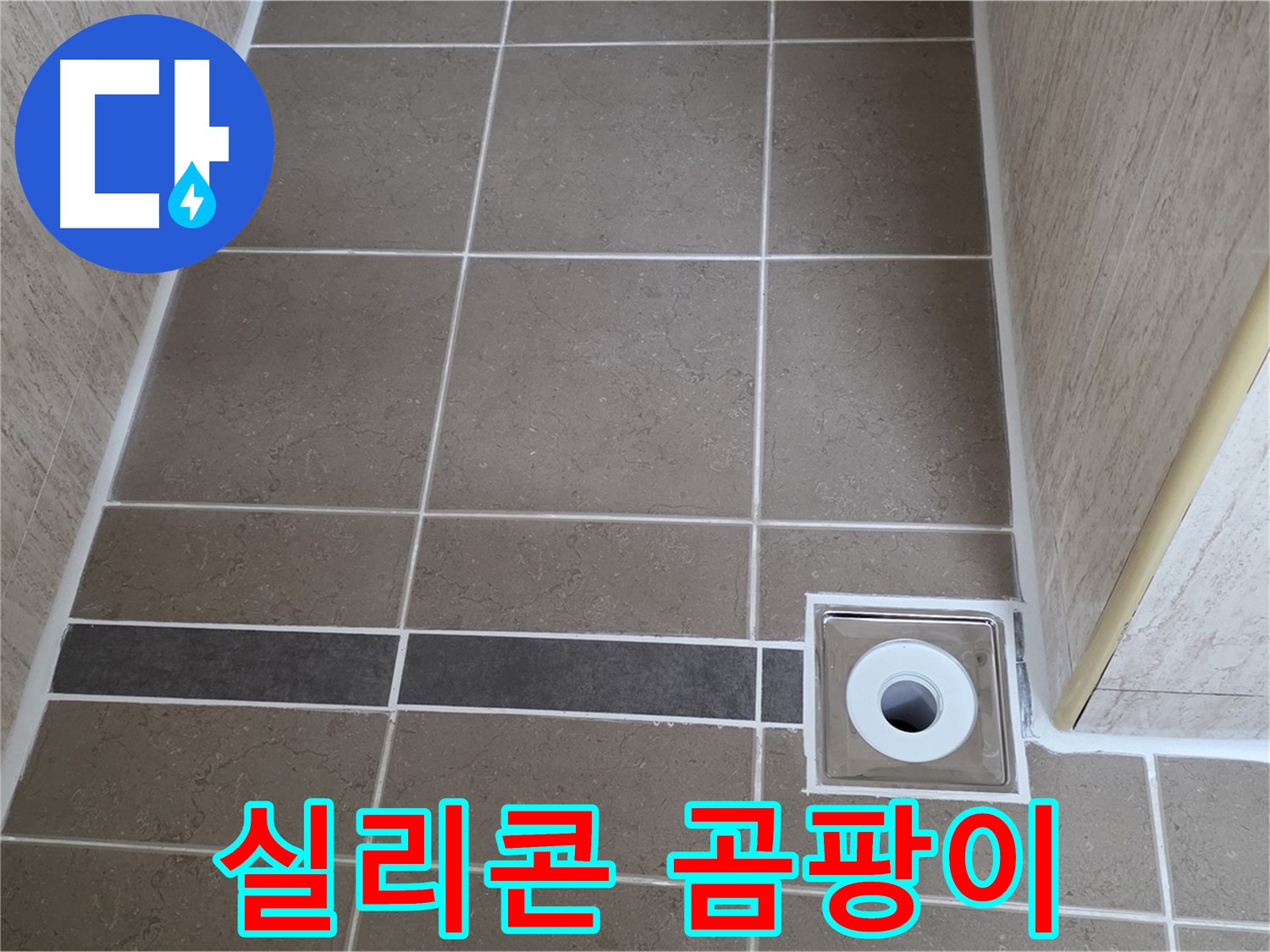 배수구 주변 실리콘 - 곰팡이