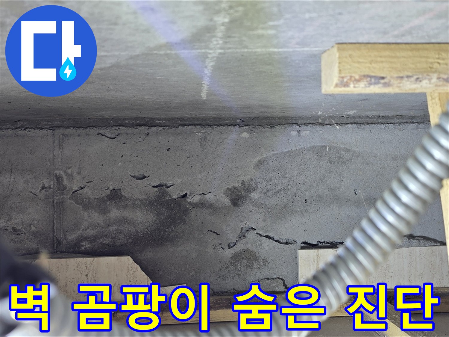 벽 곰팡이 누수 숨은 진단 - 첨단 장비