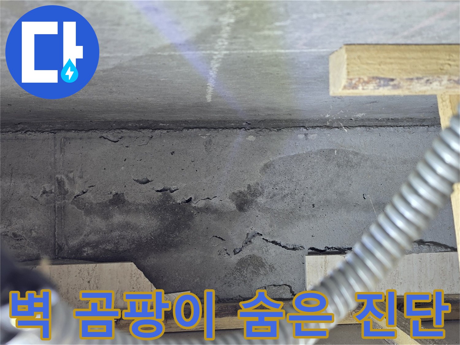 벽 곰팡이 누수 숨은 진단 - 첨단 장비