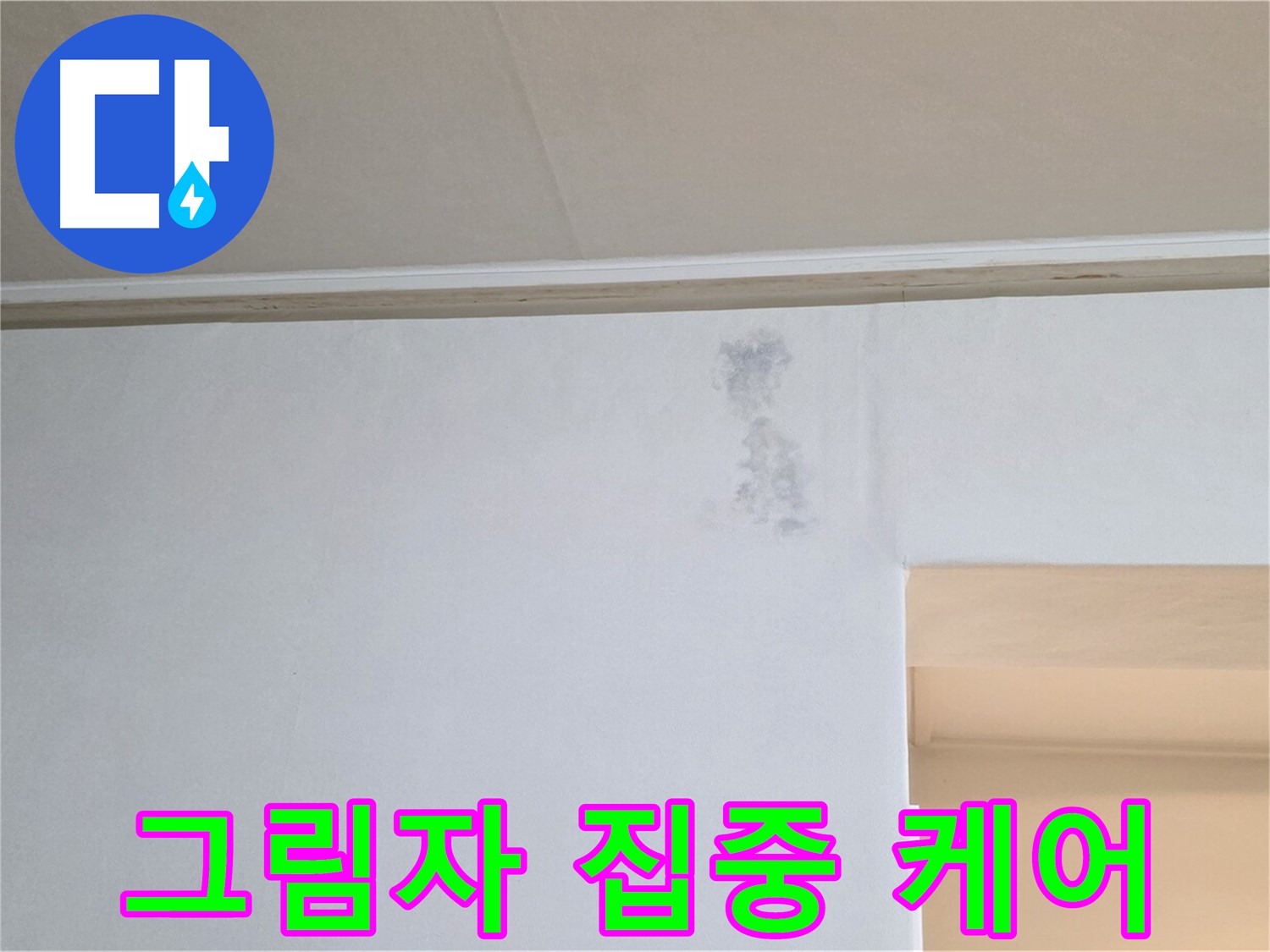 벽 그림자 집중 케어 - 맞춤 솔루션 제공