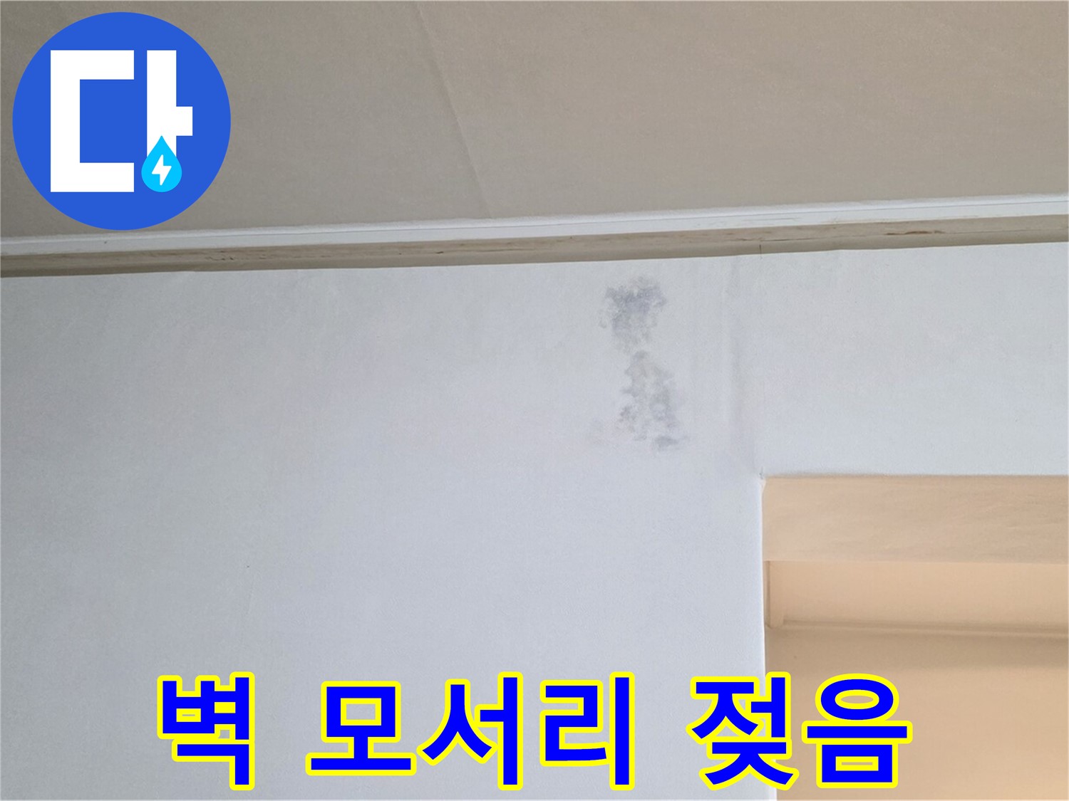 벽 모서리 젖음 - 곰팡이 & 누수 의심
