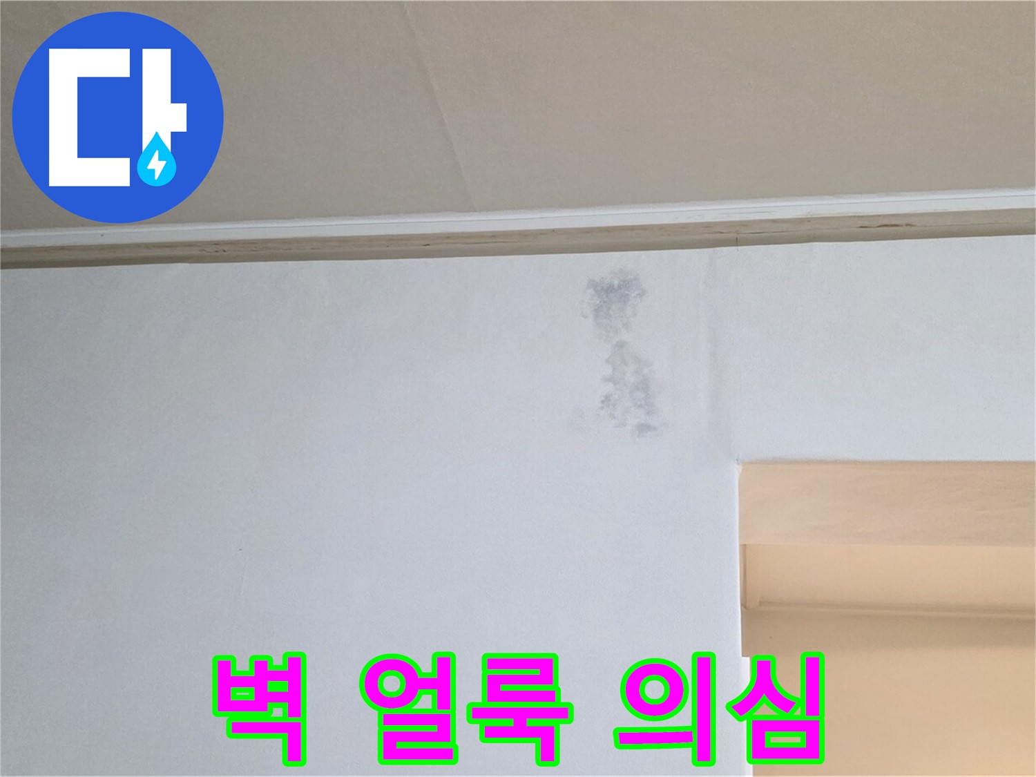 벽 얼룩 - 누수 초기 의심 - 곰팡이 가능성