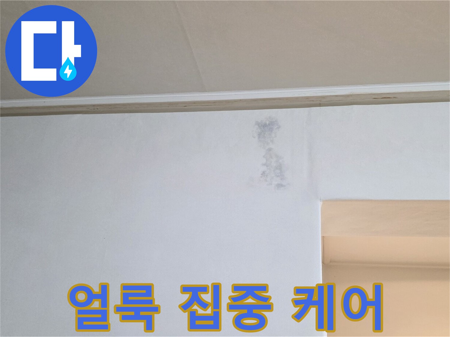 벽 젖은 그림자 집중 케어 - 맞춤 솔루션 제공