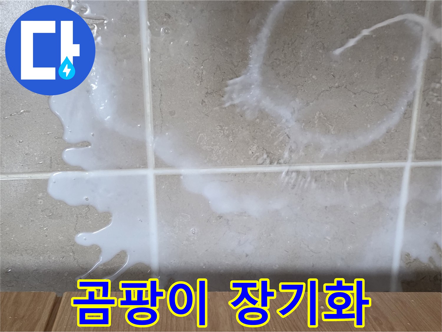 싱크대 섬유유연제 주변 - 곰팡이 발생 - 누수 장기화 의심 - 청소 필요