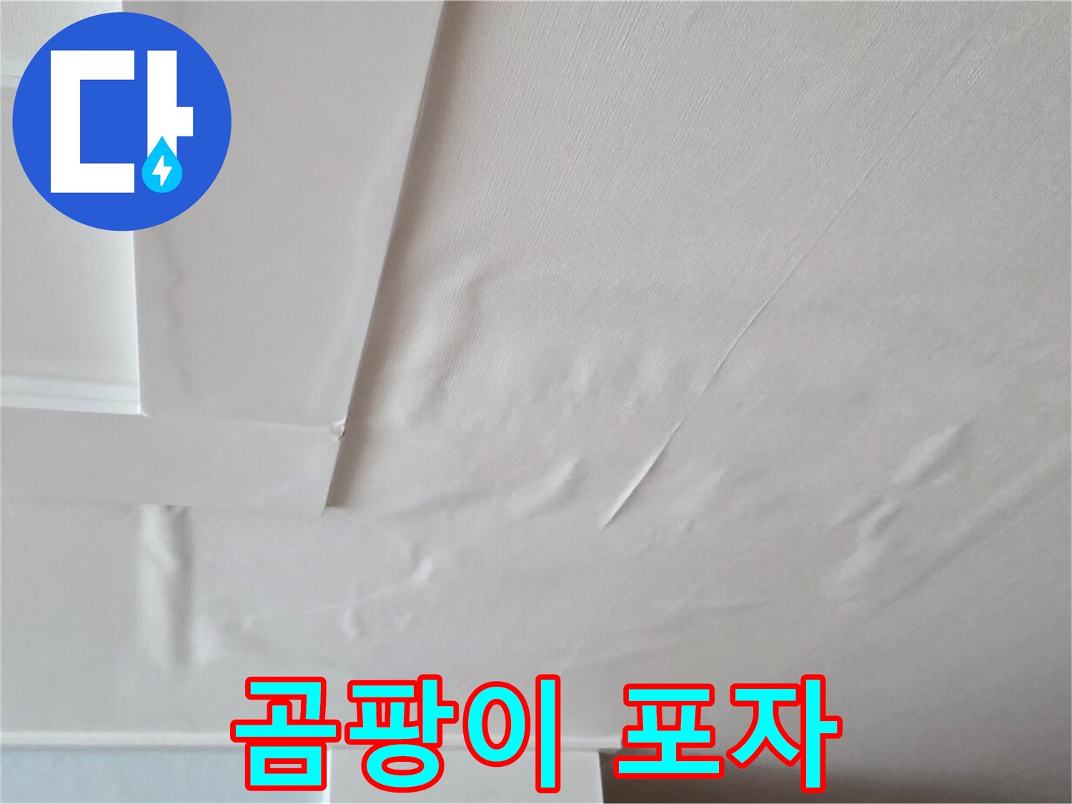 일동 베스트빌 아파트 천장 누수 - 곰팡이 포자 확산 가능성 확인