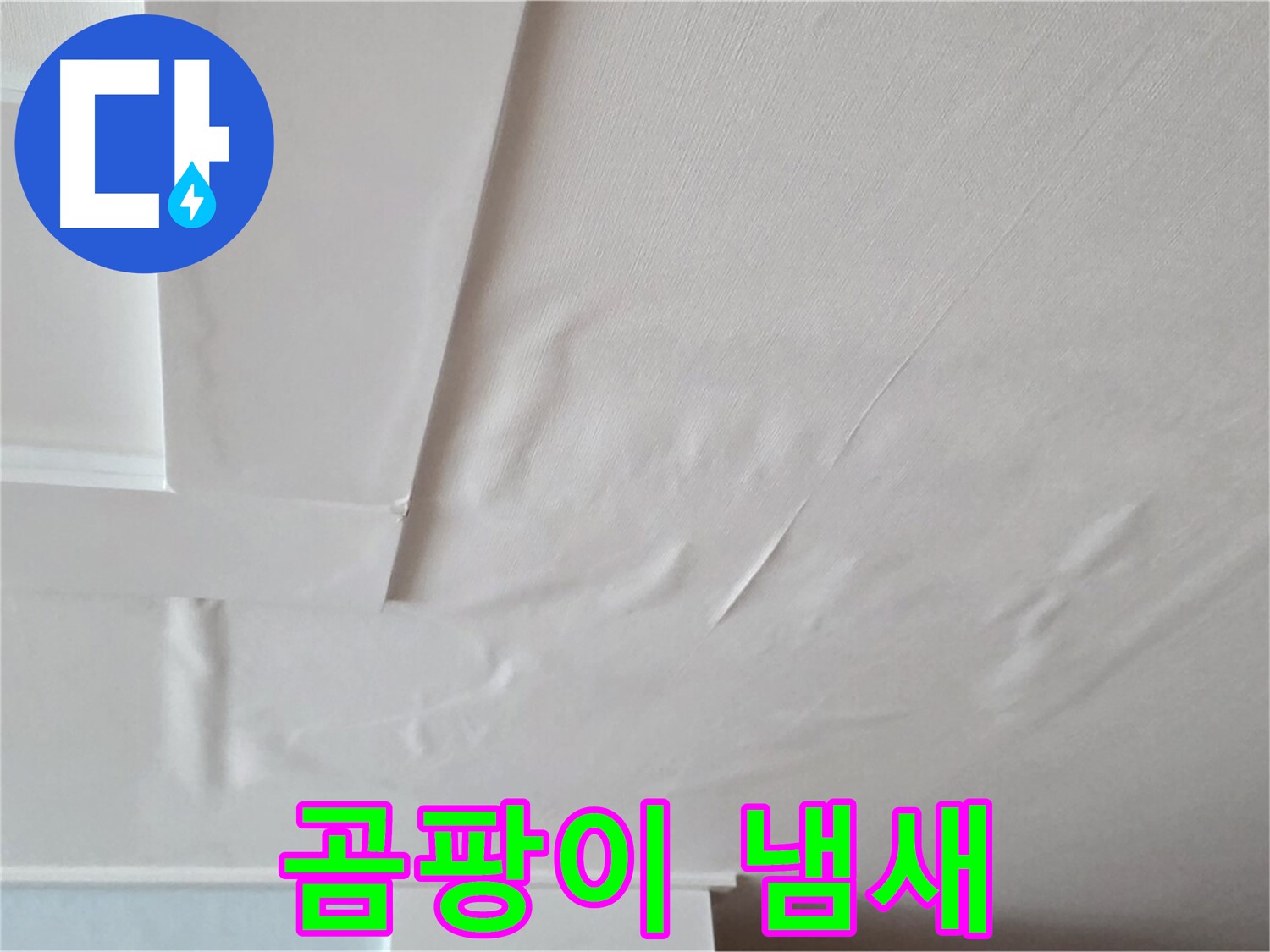일동기산베스트빌 아파트 천장 누수 - 곰팡이 냄새 - 기억력 감퇴 - 치매 유발