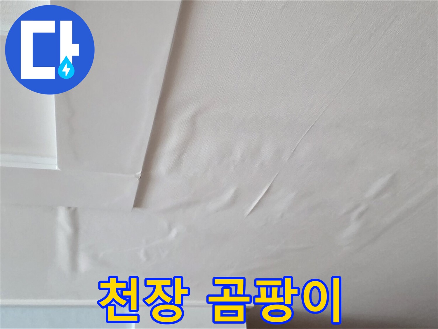 일동면 아파트 천장 곰팡이 - 누수로 인한 곰팡이 발생 및 확산 상태 확인