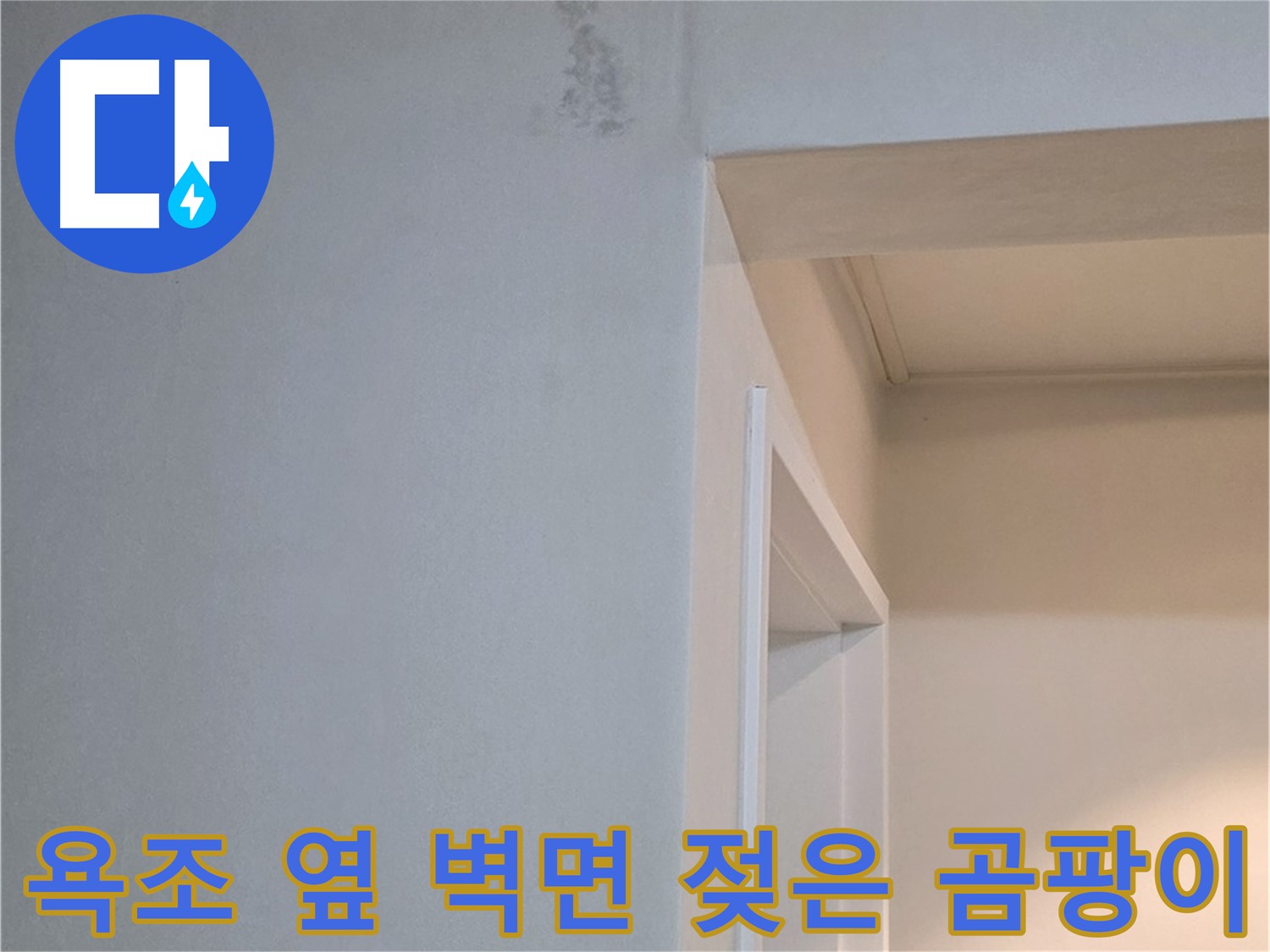 포천 일동 기산리 아파트 욕조 옆 벽면 젖은 곰팡이 - 누수와 곰팡이 동시 해결