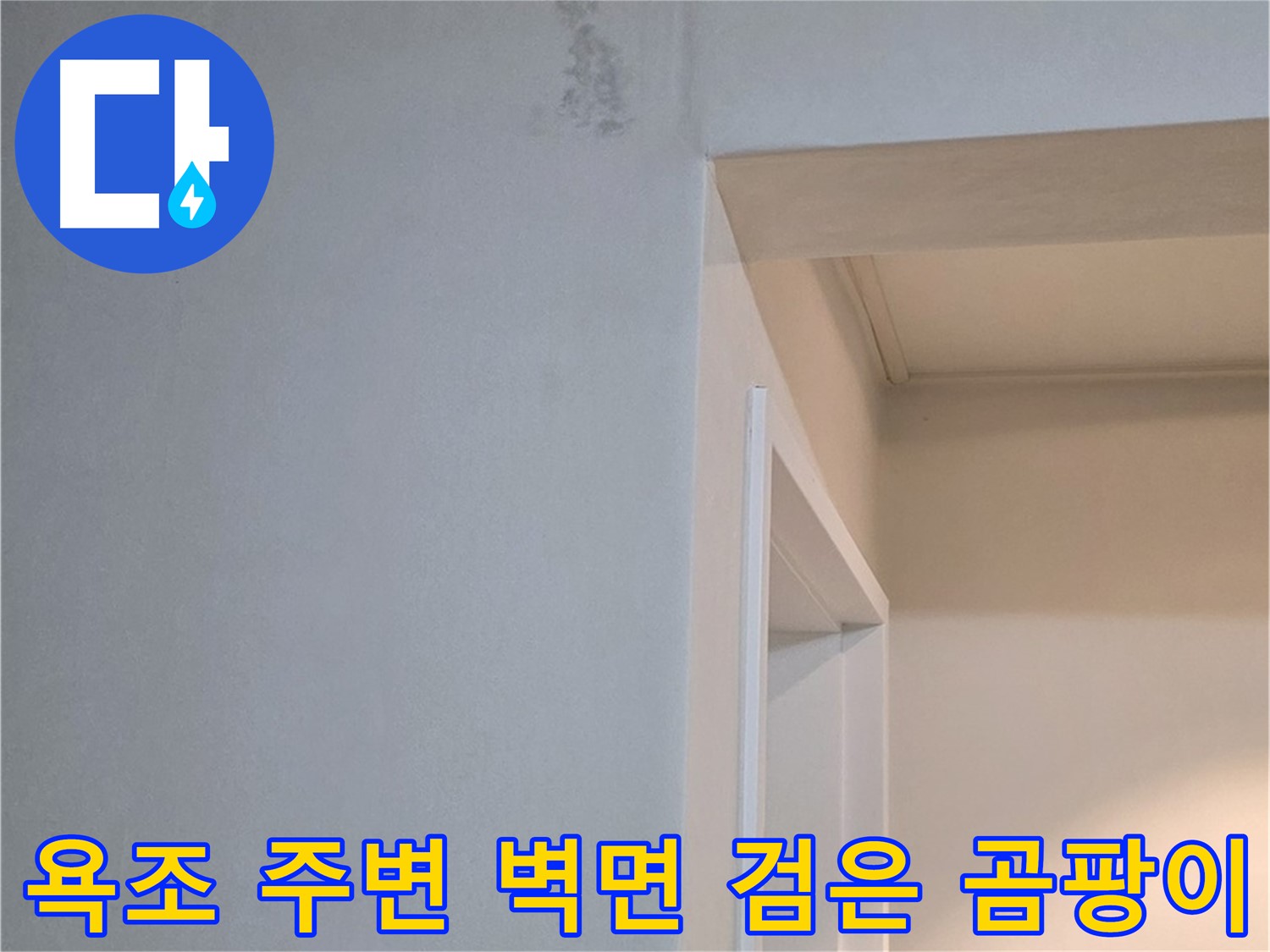 포천 일동 기산리 아파트 욕조 주변 벽면 검은 곰팡이 - 누수 해결 및 곰팡이 제거